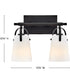 Foster 2-Light Small Two Light Vanity in Black