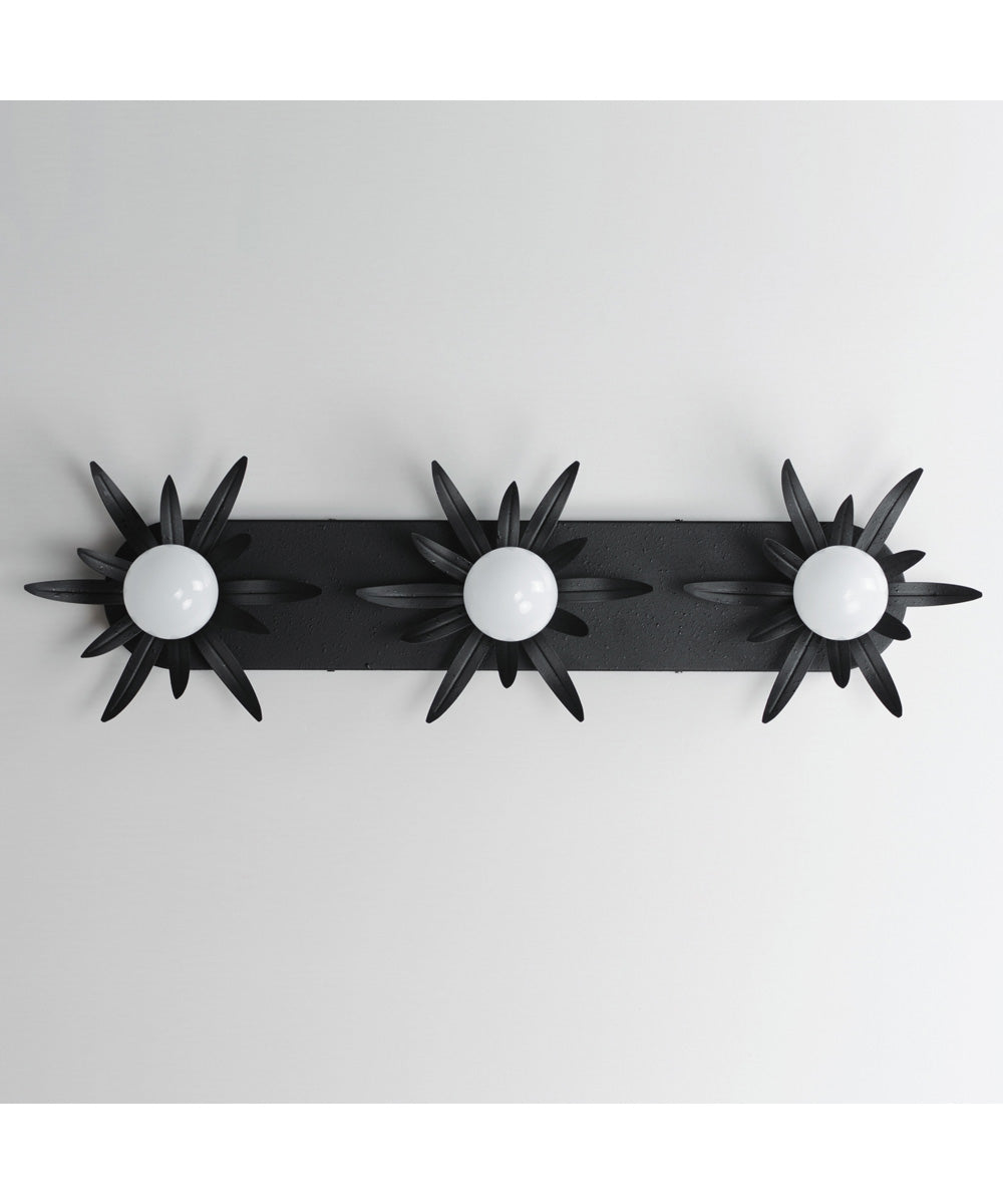 Paloma 3-Light Sconce Anthracite