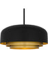 Frankie Large 4-light Pendant Matte Black