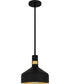 Quoizel Piccolo Pendant Small 1-light Mini Pendant Matte Black