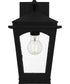 Huck Medium 1-light Outdoor Wall Light Earth Black