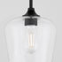 Raymond 1-light Pendant Matte Black