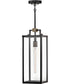 Catalina 1-Light Medium Hanging Lantern in Black