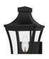 Quentin Small 1-light Outdoor Wall Light Earth Black