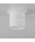 Swinger 5.25 inch Adjustable LED Flush Mount White