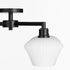 Cassini 4-light Ceiling Flush Mount Matte Black