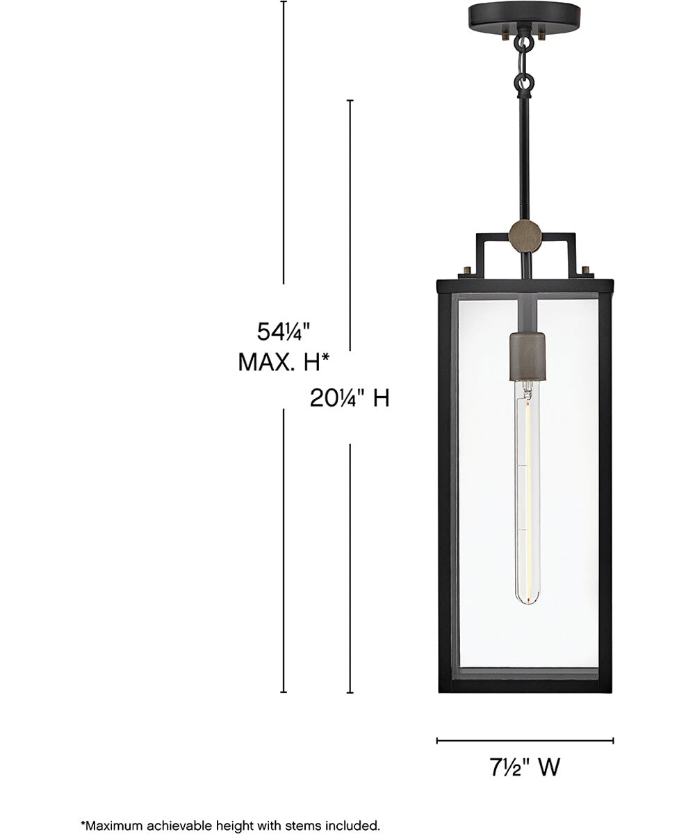 Catalina 1-Light Medium Hanging Lantern in Black