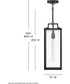 Catalina 1-Light Medium Hanging Lantern in Black