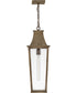 Georgetown 1-Light Large Hanging Lantern in Burnished Bronze