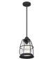 Admiral Small 1-light Mini Pendant Mottled Black