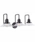 Roan 3-Light Vanity Matte Black