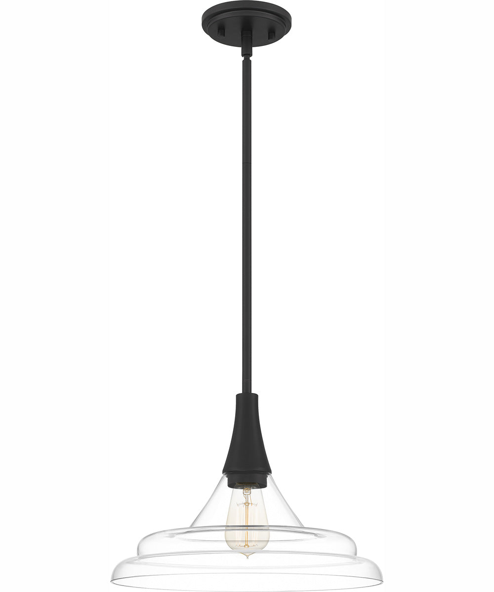 Quoizel Pendant 1-light Pendant Matte Black