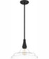 Quoizel Pendant 1-light Pendant Matte Black