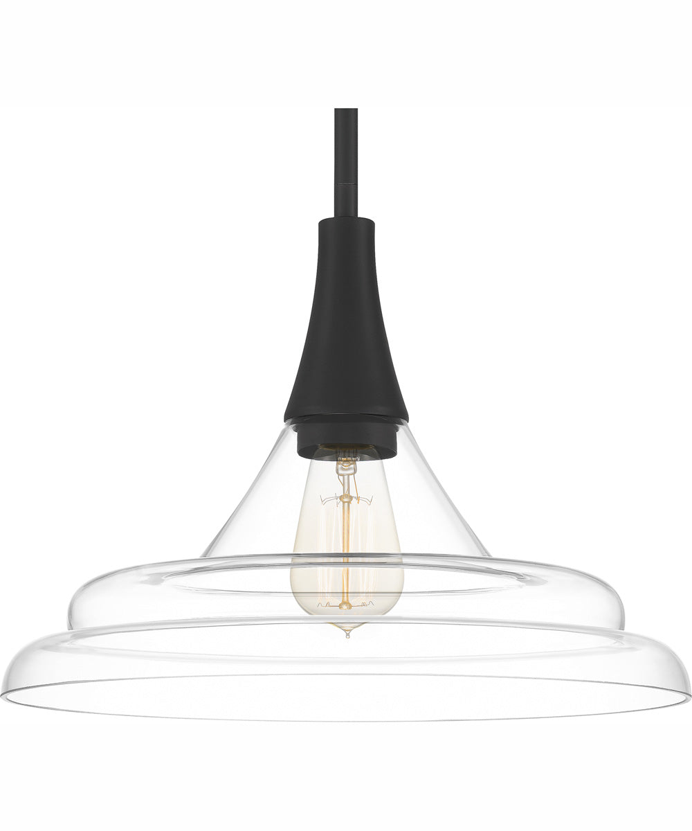 Quoizel Pendant 1-light Pendant Matte Black