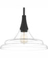 Quoizel Pendant 1-light Pendant Matte Black