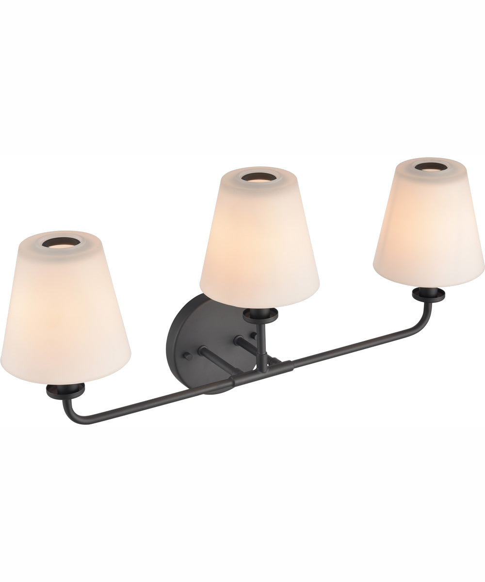 Hoyle 24'' Wide 3-Light Vanity-Light - Matte Black