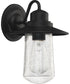 Radford Medium 1-light Outdoor Wall Light Matte Black