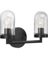 Signal 2-Light Clear Glass Coastal Bath Vanity Light Graphite