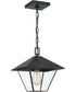 Corporal Large 1-light Outdoor Pendant Light Industrial Bronze