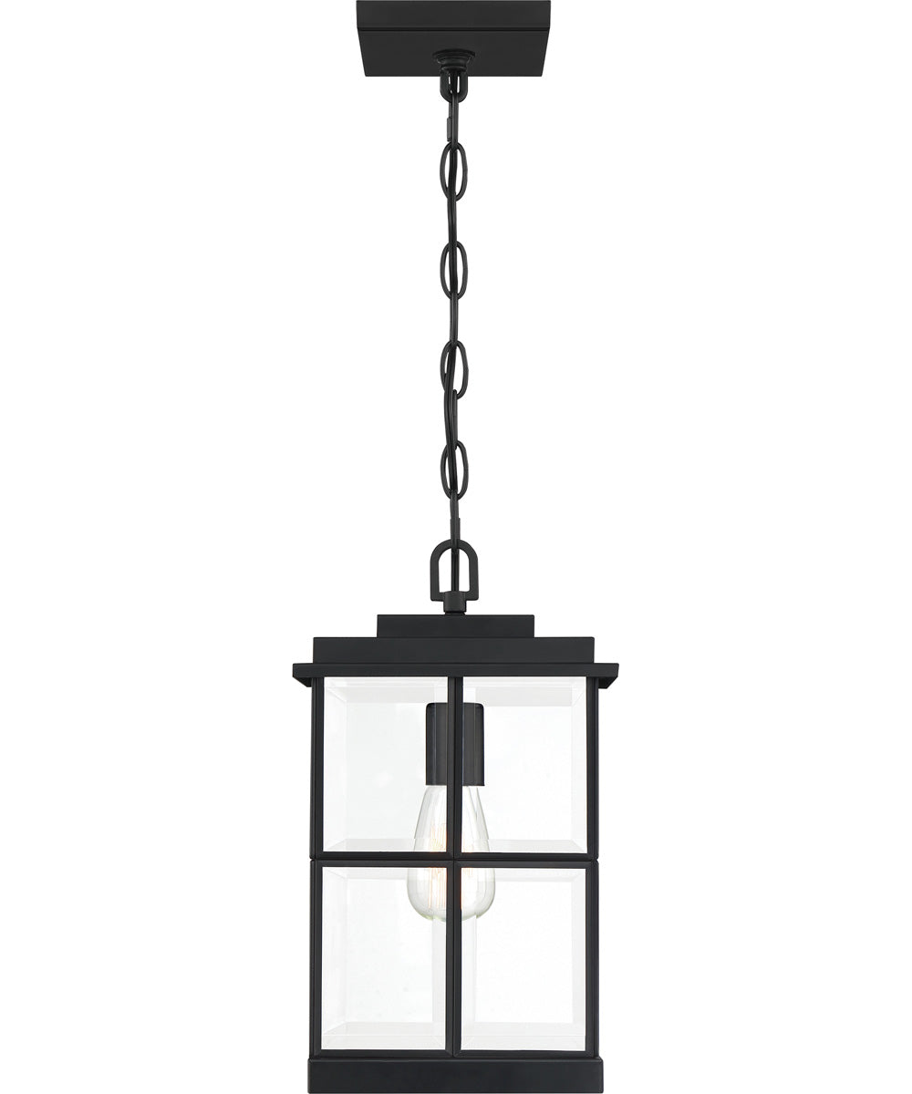 Mulligan Medium 1-light Outdoor Pendant Light Matte Black