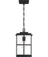 Mulligan Medium 1-light Outdoor Pendant Light Matte Black