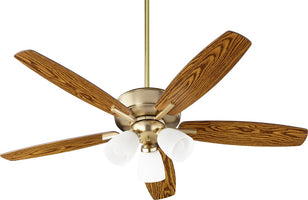 Ceiling Fans with Lights