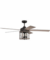 Ceiling Fans with Lights