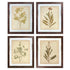 27"H Dyani Wall Art (Set of 4) Multi