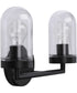 Signal 2-Light Clear Glass Coastal Bath Vanity Light Graphite