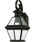 Rutledge Small 1-light Outdoor Wall Light Mystic Black