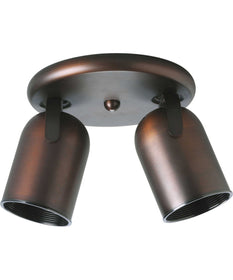 2-Light Multi Directional Roundback Wall/Ceiling Fixture Urban Bronze