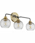 Clarion 3-light Bath Vanity Light Textured Black w/ Aged Brass