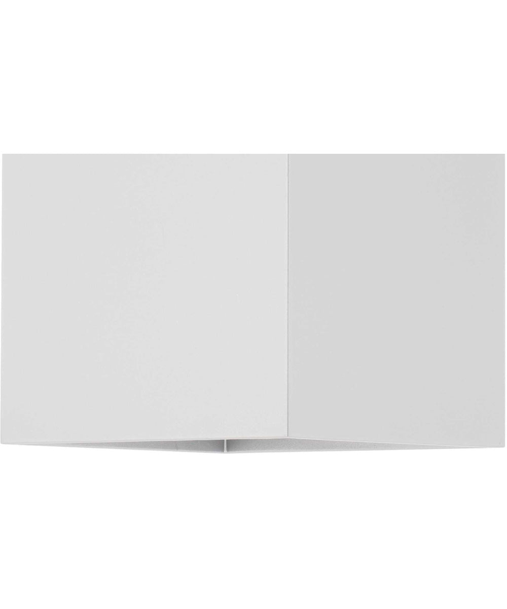 6" Square 1-Light Wall Lantern White