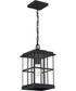 Mulligan Medium 1-light Outdoor Pendant Light Matte Black