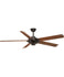 Ceiling Fans with Remotes