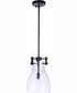 Chardonnay 1-Light Pendant Flat Black