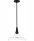 Quoizel Pendant 1-light Pendant Matte Black