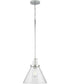 Hinton 1-Light Clear Seeded Glass Vintage Style Hanging Pendant Light Polished Nickel