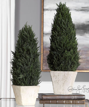 18"H Cypress Cone Topiaries Set of 2