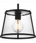 Quoizel Piccolo Pendant 1-light Mini Pendant Matte Black