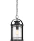 Booker Large 1-light Outdoor Pendant Light Mystic Black