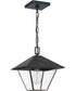 Corporal Large 1-light Outdoor Pendant Light Industrial Bronze