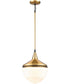 Mid-Century Schoolhouse 1-Light mini pendant  Satin Brass / Matte Black