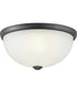 2-Light 14" Glass Dome Flush Mount Graphite