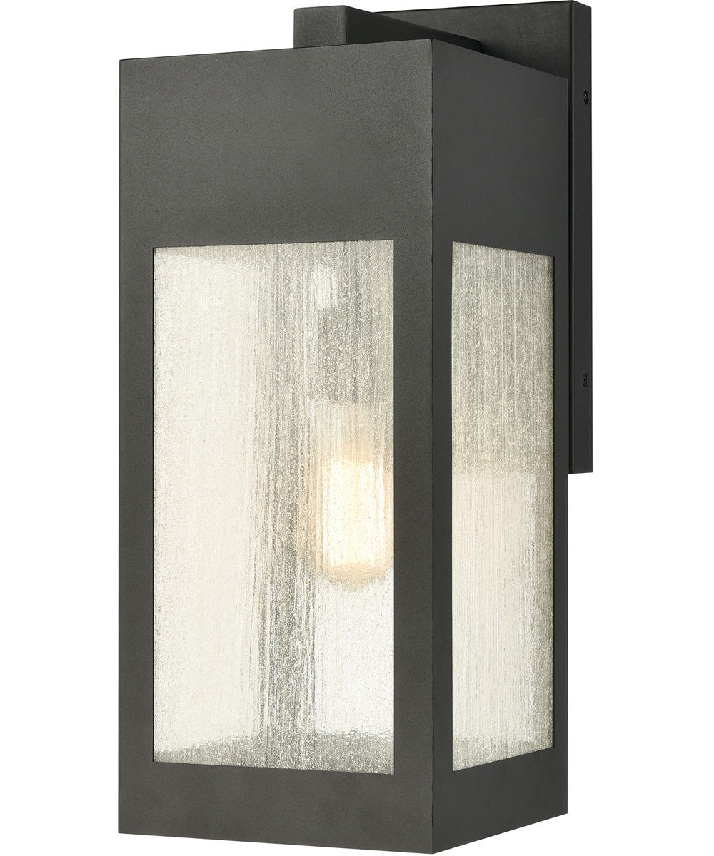 Angus 1-Light Outdoor Sconce Charcoal/Seedy Glass Enclosure