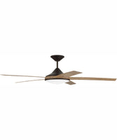 Large Ceiling Fans