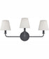 Minerva 24'' Wide 3-Light Vanity-Light - Matte Black