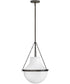 Collins 1-Light Medium Pendant in Black Oxide