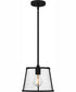 Quoizel Piccolo Pendant 1-light Mini Pendant Matte Black