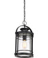 Booker Large 1-light Outdoor Pendant Light Mystic Black